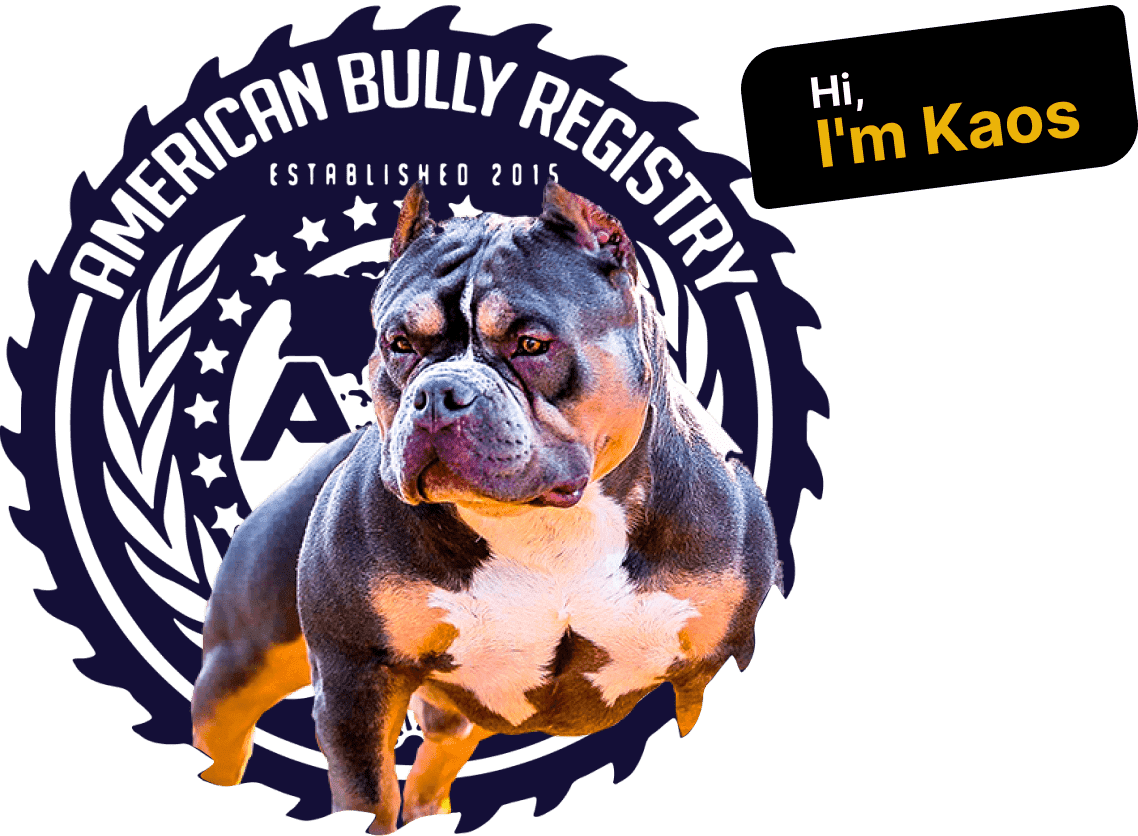 american bully logos